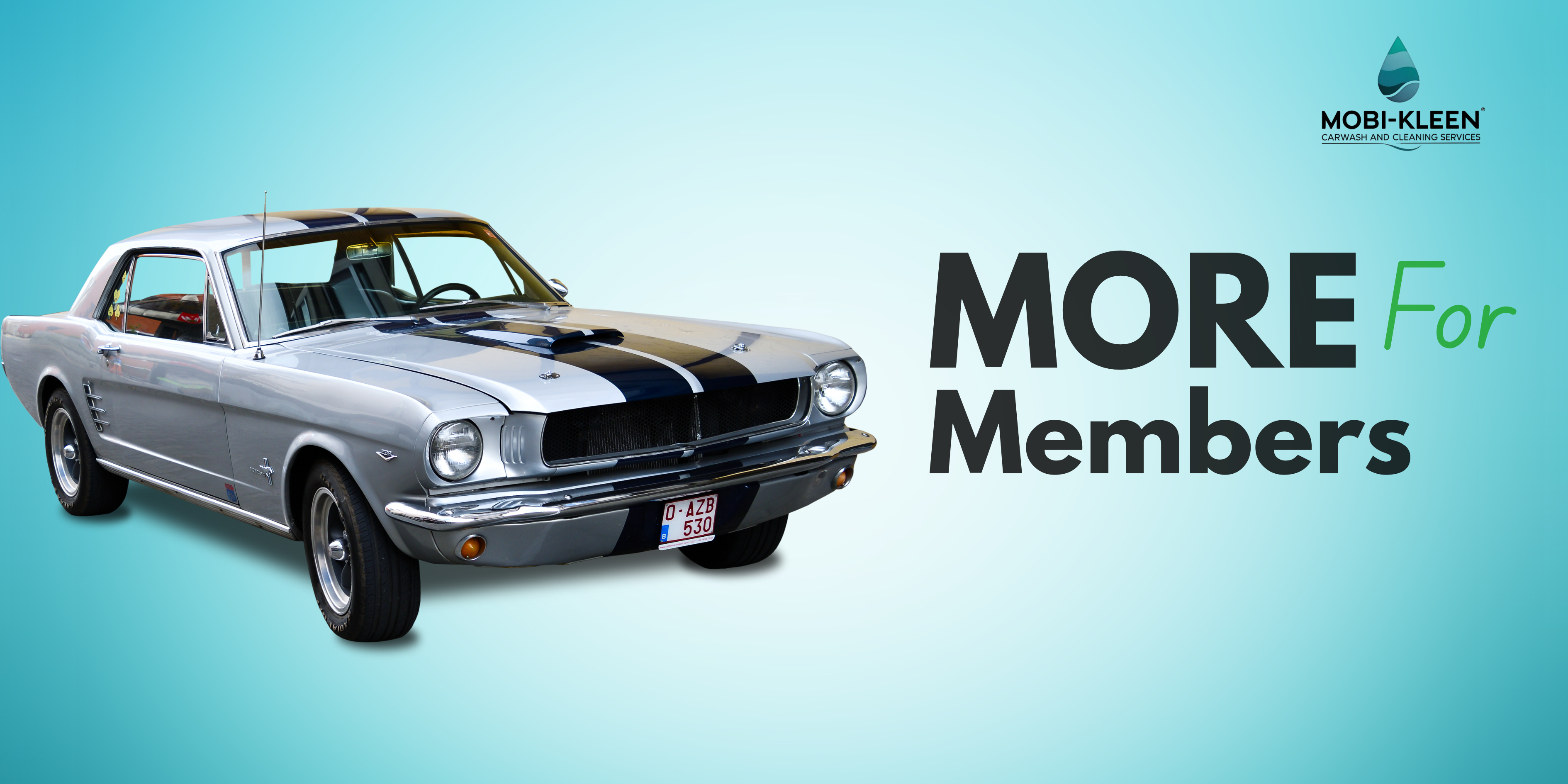 Black Modern and Elegant Flash Sale Promotion Banner Store (2).png__PID:2ad84b24-7bbe-4c69-baba-385fa8e9571b